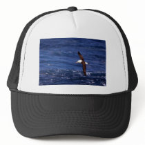 Black-Browed Albatross In Flight Trucker Hat