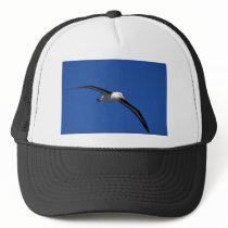 Black-Browed Albatross In Flight Hat