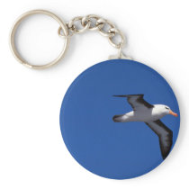 Black-Browed Albatross In Flight Keychain