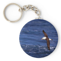 Black-Browed Albatross In Flight Key Chain