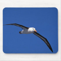 Black-Browed Albatross In Flight Mousepads