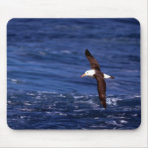 Black-Browed Albatross In Flight Mousepad