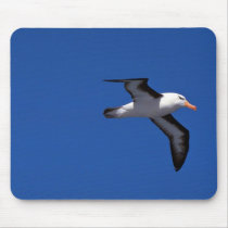 Black-Browed Albatross In Flight Mousepads