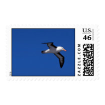 Black-Browed Albatross In Flight Postage