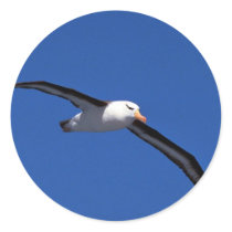 Black-Browed Albatross In Flight Round Sticker