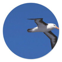 Black-Browed Albatross In Flight Round Sticker