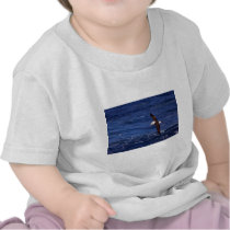 Black-Browed Albatross In Flight T-shirts