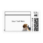 Black Brown and White Beagle Dog postage