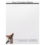 Black Brown and White Smiling Dog Letterhead