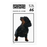 Black & Brown Dachshund postage