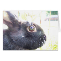 Black Bunny Greeting Card cards