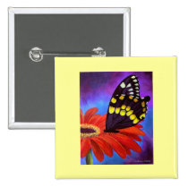 Black Butterfly Daisy Painting - Multi buttons