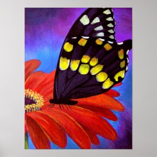 Black Butterfly Daisy Painting - Multi Poster
