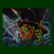Black Butterfly Fantasy Art Nature Poster posters
