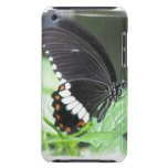 Black Butterfly iTouch Case iPod Case-Mate Case
