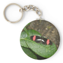Black butterfly keychain