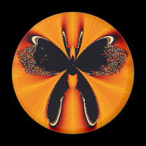 Black Butterfly magnets