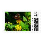 Black Butterfly on Yellow Lantana Stamps