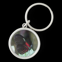 Black Butterfly Premium Keychain keychains