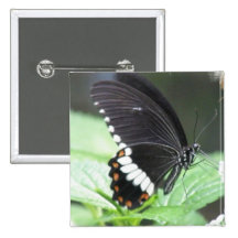 Black Butterfly Square Pin