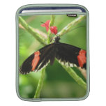 Black Butterfly with Pink iPad Case iPad Sleeve