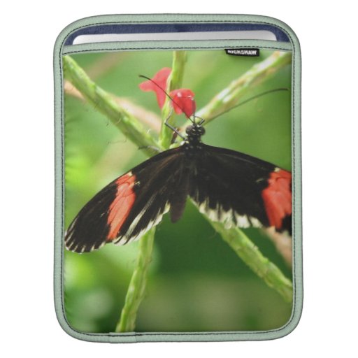 Black Butterfly with Pink iPad Case iPad Sleeve