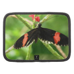 Black Butterfly with Pink Wallet Portfolio Planner