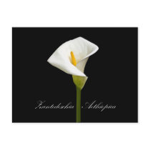 Black Cala Lily Post Card