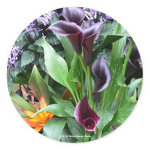 Calla Lily Stickers