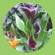 Black Calla Lilies stickers