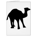 black camel cards