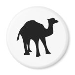 black camel magnets