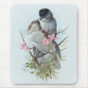 Black Cap Warblers mousepads