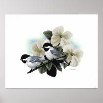 Black Capped Chickadee Art Print
