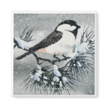 Black Capped Chickadee Bird Fridge Magnets