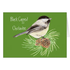 Black Capped Chickadee - Bird - Nature card