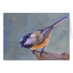 Black Capped Chickadee Card