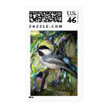 Black-Capped Chickadee from Junglewalk.com Postage