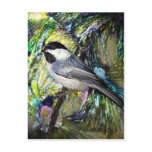 Black-Capped Chickadee from Junglewalk.com Black-Capped Chickadee from Junglewalk.com