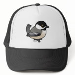 Black-capped Chickadee Hats
