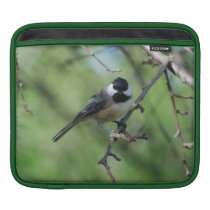 Black-capped Chickadee Sleeves For Ipads
