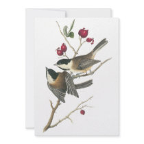 Black-capped Chickadee, John Audubon Invitations