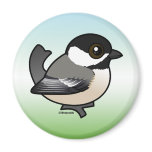 Black-capped Chickadee Magnets