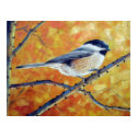 Black-Capped Chickadee posters