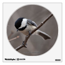 Black Capped Chickadee Room Graphics