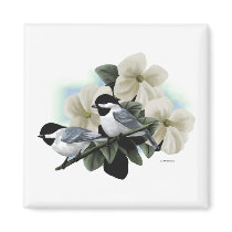 Black Capped Chickadees Refrigerator Magnets