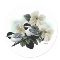 Black Capped Chickadees Sticker
