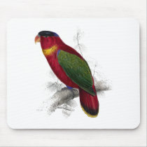 Black-Capped Lory by Edward Lear Mousemat