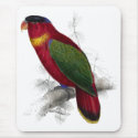 Black-Capped Lory by Edward Lear mousepad