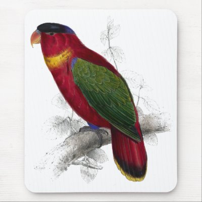 Black-Capped Lory by Edward Lear Mousepads by DejaVuParrots
